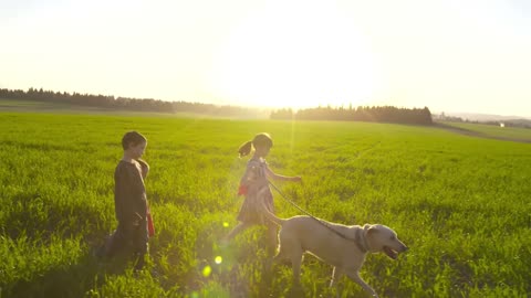 Children Dog Friends Field Animal Pet Playing