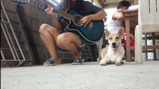 Guitar Strums Make Pup Sleepy