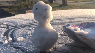 Snowman in Florida