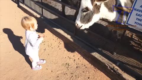 FORGET CATS! Funny KIDS vs ZOO ANIMALS are WAY FUNNIER! - TRY