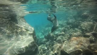 Diving at Gordon Rock - Galapagos Islands