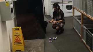 Girl in laundry mat gets snacks from vending machine