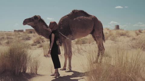 Woman and camel