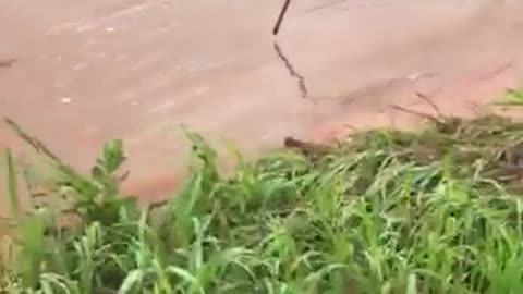 Massive Flooding Washes Road Away