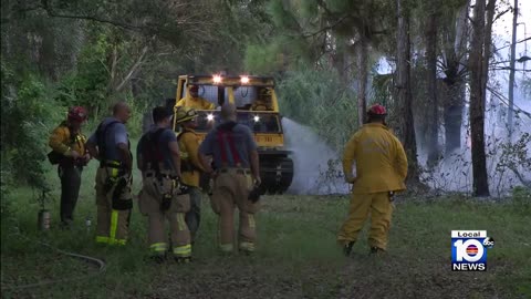 Sudden brush fire extinguished in southwest Miami-Dade