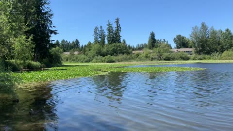 Moving water, Silver Lake