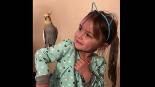 Emotional Cockatiel Demands Smooches By Mimicking Kissing Sounds