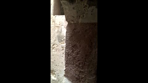 Alexandria. Catacombs of Kom El Shoqafa