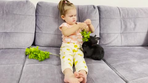 How_to_Properly_Feed_Baby_Rabbits_MasterClass_From_a_Baby_Girl