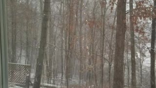 Snowfall overlooking a valley with woods