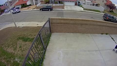 Total Stranger Takes a Tumble From Fence