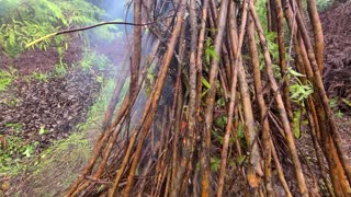 Homestead Expansion - Cleanup Fire