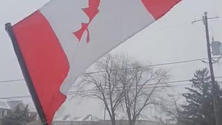 Canadian Flag Waiving During Blizzard