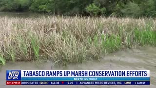 Tabasco Ramps up Marsh Conservation Efforts