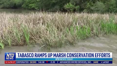 Tabasco Ramps up Marsh Conservation Efforts