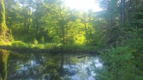 Camping at the lake