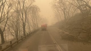 Fire Truck Team Dodge Fallen Burnt Trees on Road to Batlow