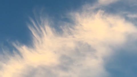 Feathers In The Sky