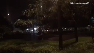 Guy runs and jumps into bushes at night