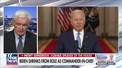 Newt Gingrich calls Joe Biden a 'sickness'