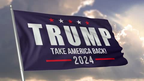 Trump 2024 flag