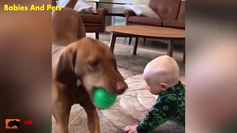 Funny and Cute Babies and Dogs Playing Together - Cute babies Video