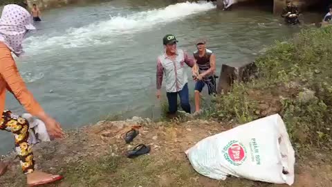 Clip fish jumping out of the water, farmers scrambled to catch