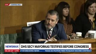 Sen. Ted Cruz to Mayorkas: "How many murderers have you released?"