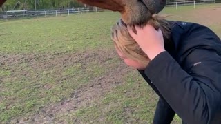 Horse Has Her by the Hair