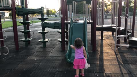 Puppy Follows Best Friend Down Slide