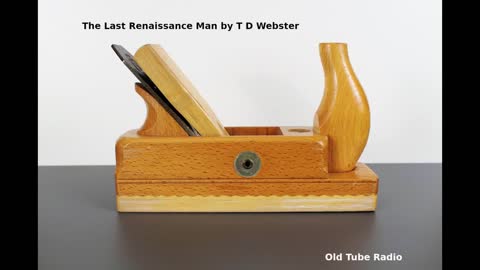 The Last Renaissance Man by T D Webster