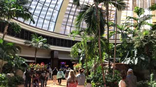 Gorgeous glass dome garden lobby in the Mirage Hotel Las Vegas