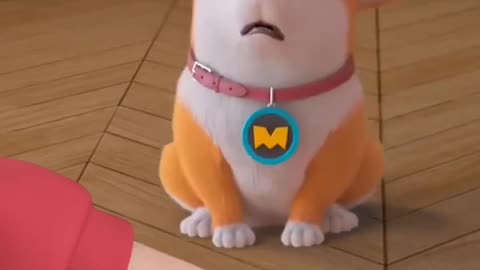 Moco dog🐕🐕funny shorts...