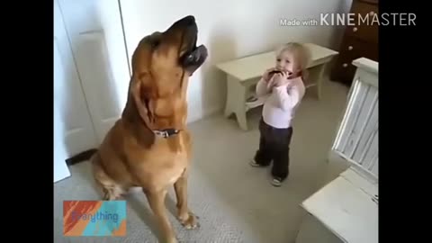 Baby playing with dog