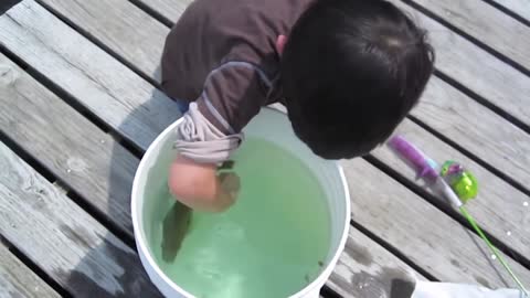BABIES MEET FISH FOR THE FIRST TIME Funny Babies