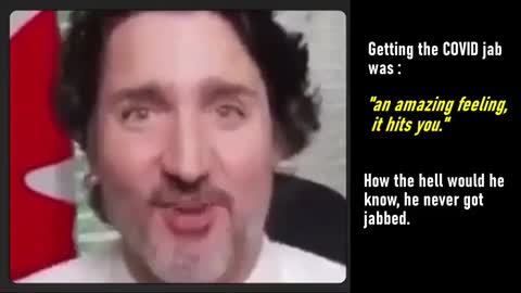 COVID 19 MEDIA AND GOVERNMENTS 179 - TRUDEAU - CANADA'S WHACKO PUPPET