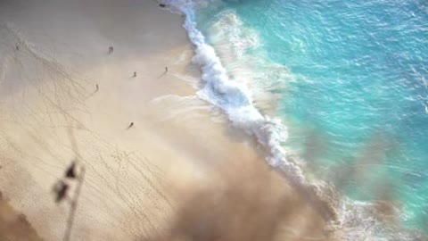 Birds Eye View of a Tropical Beach