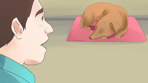 how can you tell if your dog is deaf