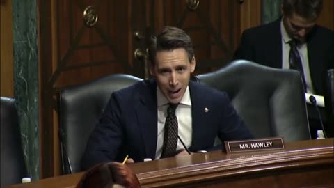 Josh Hawley grills Biden's Deputy AG over the FBI's targeting of concerned parents