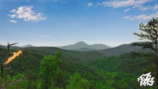 The Green Valley