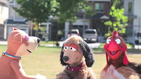 dog who thinks he's a cat to promote LGBTQ inclusivity and acceptance in 4th grade