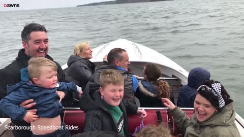 Watch incredible rare moment pod of bottlenose dolphins swim alongside speedboat
