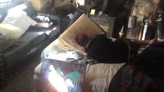 Bam Margera wakes up Nick Barba