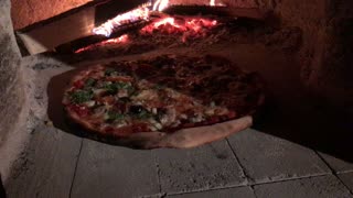 Wood Fired Pizza