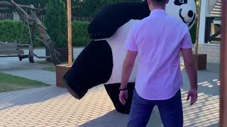 Dance Battle Between Panda And Guest