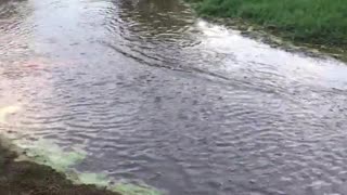 Niños dan una vuelta en una calesita casera