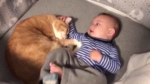 Cute baby enjoy with cat 😺😺