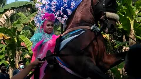 Amazing.. Horse's friendship with human's