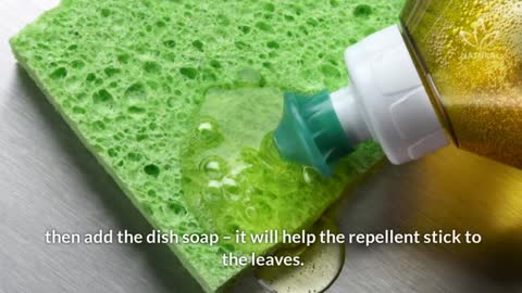 How to Make a Natural Insect Repellent to Protect Your Home