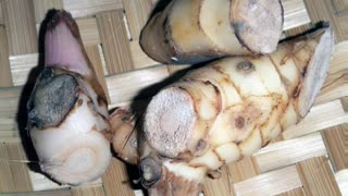 galangal ( alpinia galanga ) serve para náuseas e enjoos